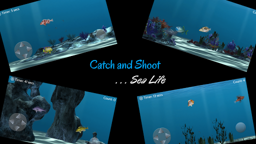 Catch N Shoot 2