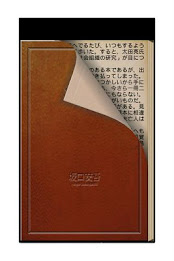 Coincidence poster 2