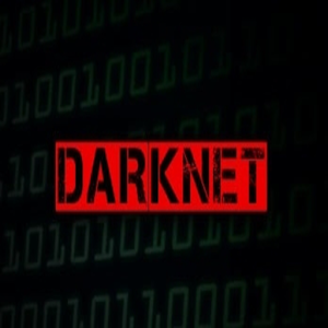 Darknet: The Guide logo