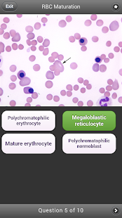BYU Hematology Screenshots 7