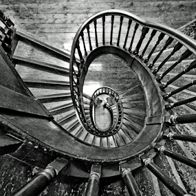 by Antonio Amen - Buildings & Architecture Architectural Detail