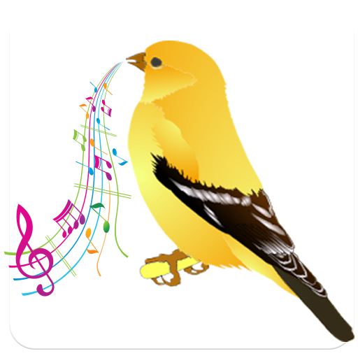 canary singing 音樂 App LOGO-APP開箱王