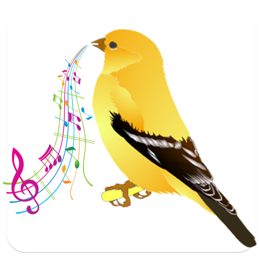 canary singing LOGO-APP點子