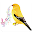canary singing Download on Windows