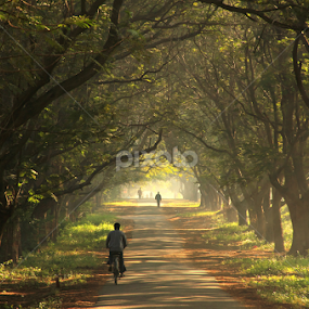 Nature at its best by Sai Kiran - City,  Street & Park Street Scenes
