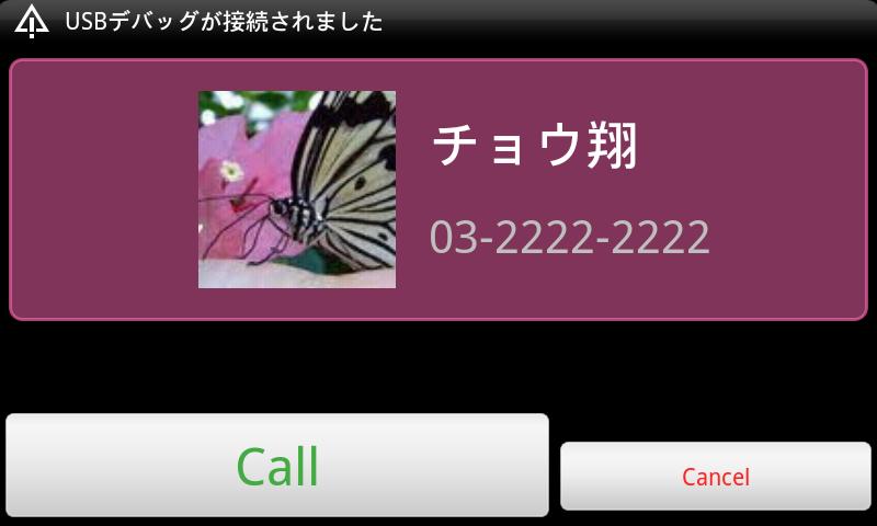 Call Widget Pro Screen 3