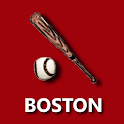 Boston Baseball Fan App