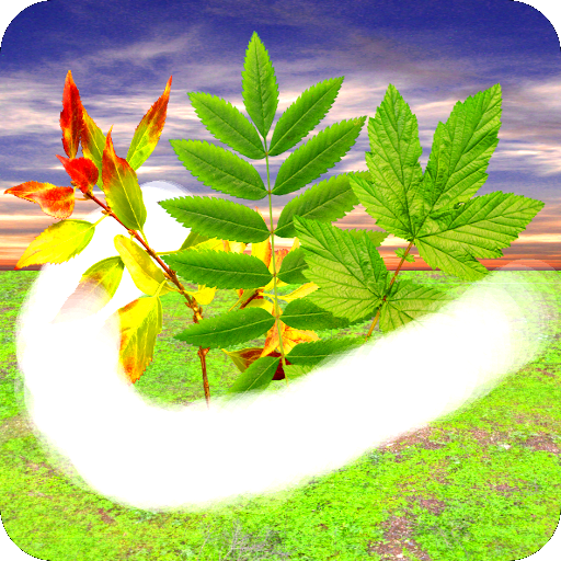 Windy Relaxation 娛樂 App LOGO-APP開箱王