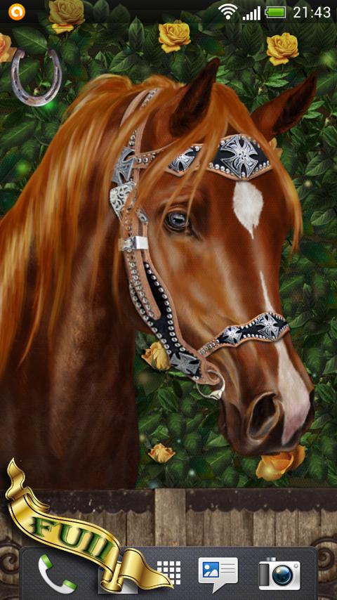 Arabian Horse Wallpaper Screen 1