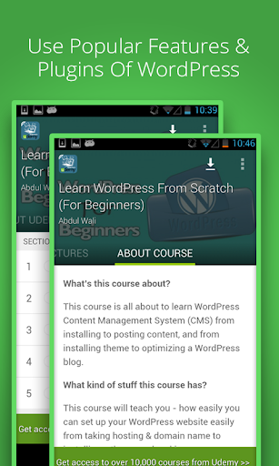 Learn WordPress From Scratch