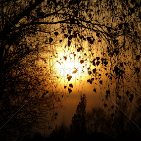 Autumn sunset (I) by Cristian Vidrașcu - Landscapes Sunsets & Sunrises
