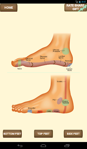 【免費健康App】iPocket Foot Reflexology-APP點子