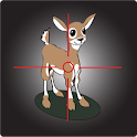 Deer Crazy