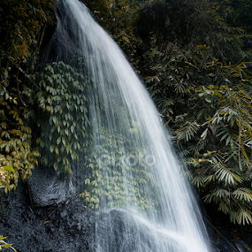 by Yudi Saksono - Nature Up Close Water
