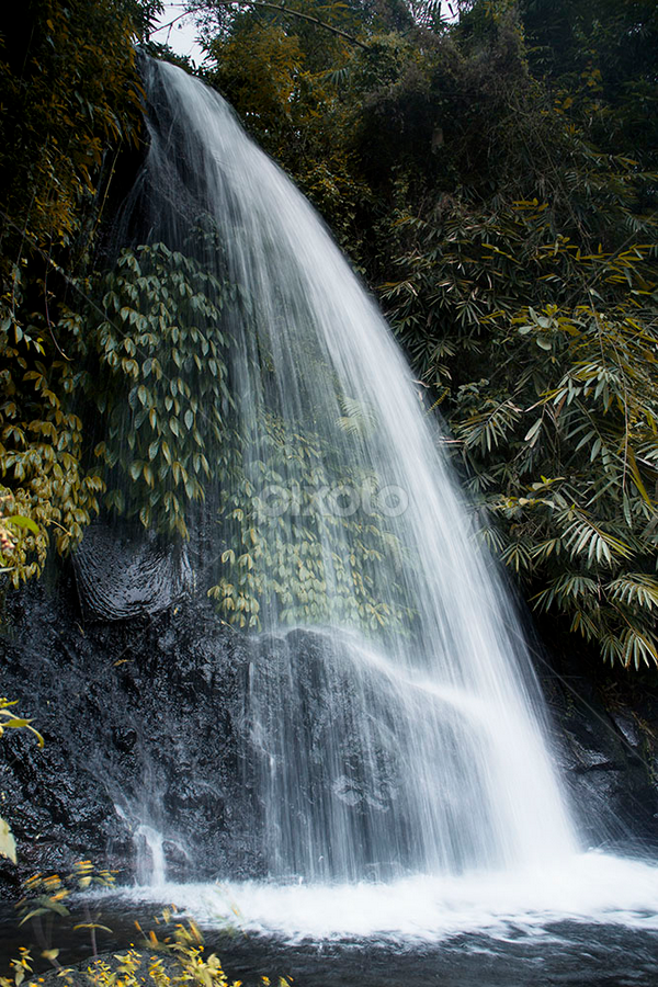 by Yudi Saksono - Nature Up Close Water