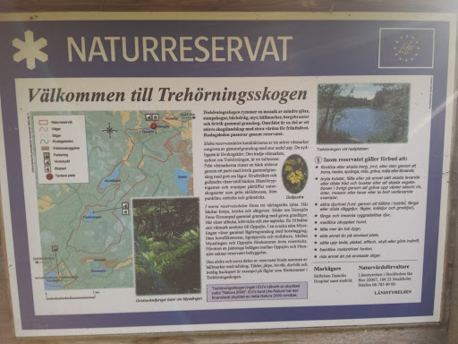 Trehörningsskogen, Norra Ingången