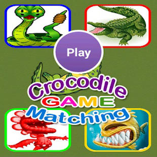 Crocodile Matching Games