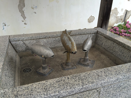 サカナの手洗い場