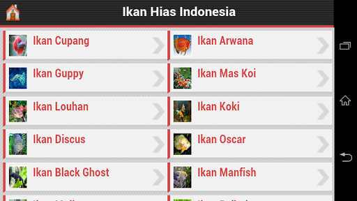 Ikan Hias Air Tawar Indonesia