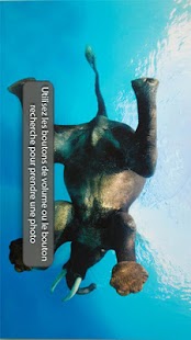 download Defy Photo Lite free