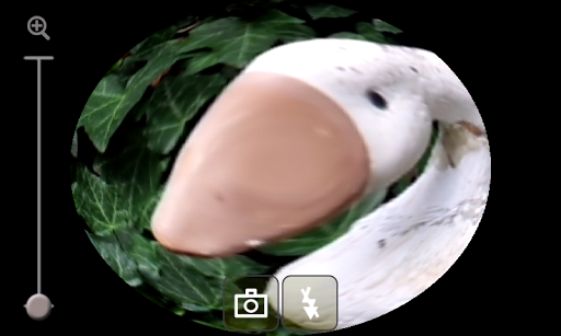 Fisheye Camera Effect 1