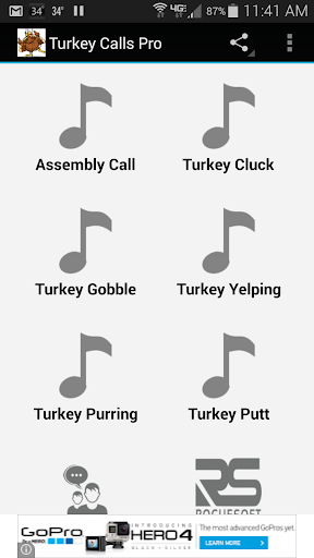 Turkey Calls Pro