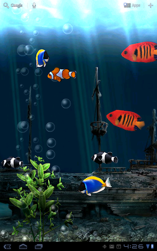 免費下載個人化APP|Aquarium Free Live Wallpaper app開箱文|APP開箱王