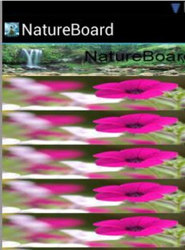 NatureBoard