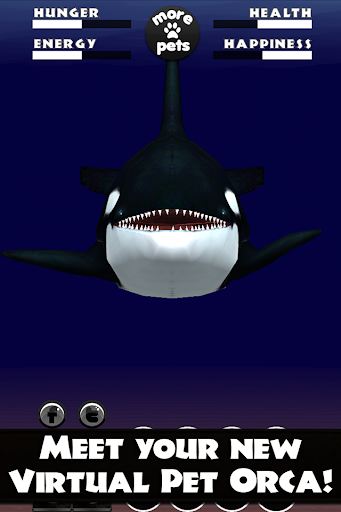 【免費教育App】Virtual Pet Orca Killer Whale-APP點子