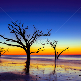 Intense Sunrise at Botany Bay by Serge Skiba - Landscapes Waterscapes