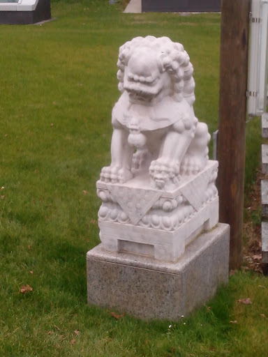 Chinese Stone Lions