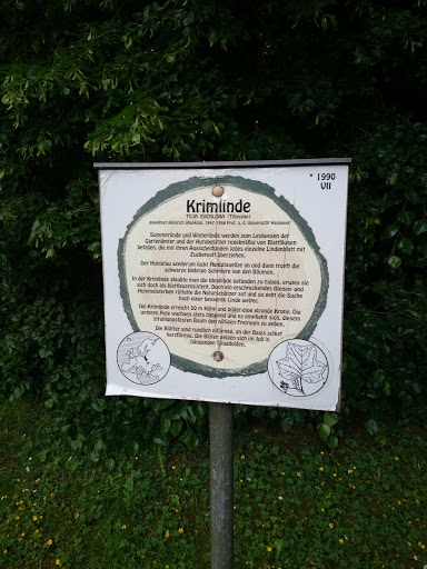 Arboretum Krimlinde