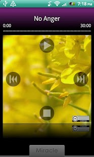 Download No Anger APK for PC