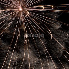 Star Burst by Robert Marquis - Public Holidays July 4th