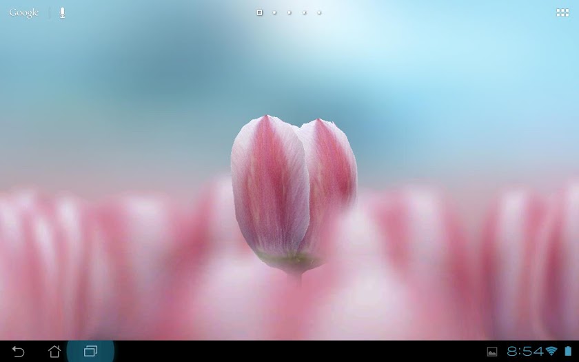 3D Tulip Live Wallpaper Screen 3