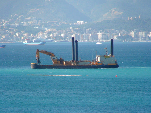 bahia-palma-04.jpg
