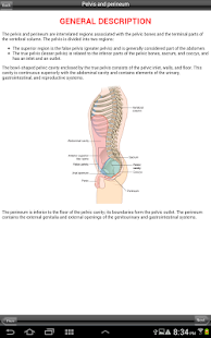 Lastest Gray's Pelvis Perineum Abdomen APK for PC