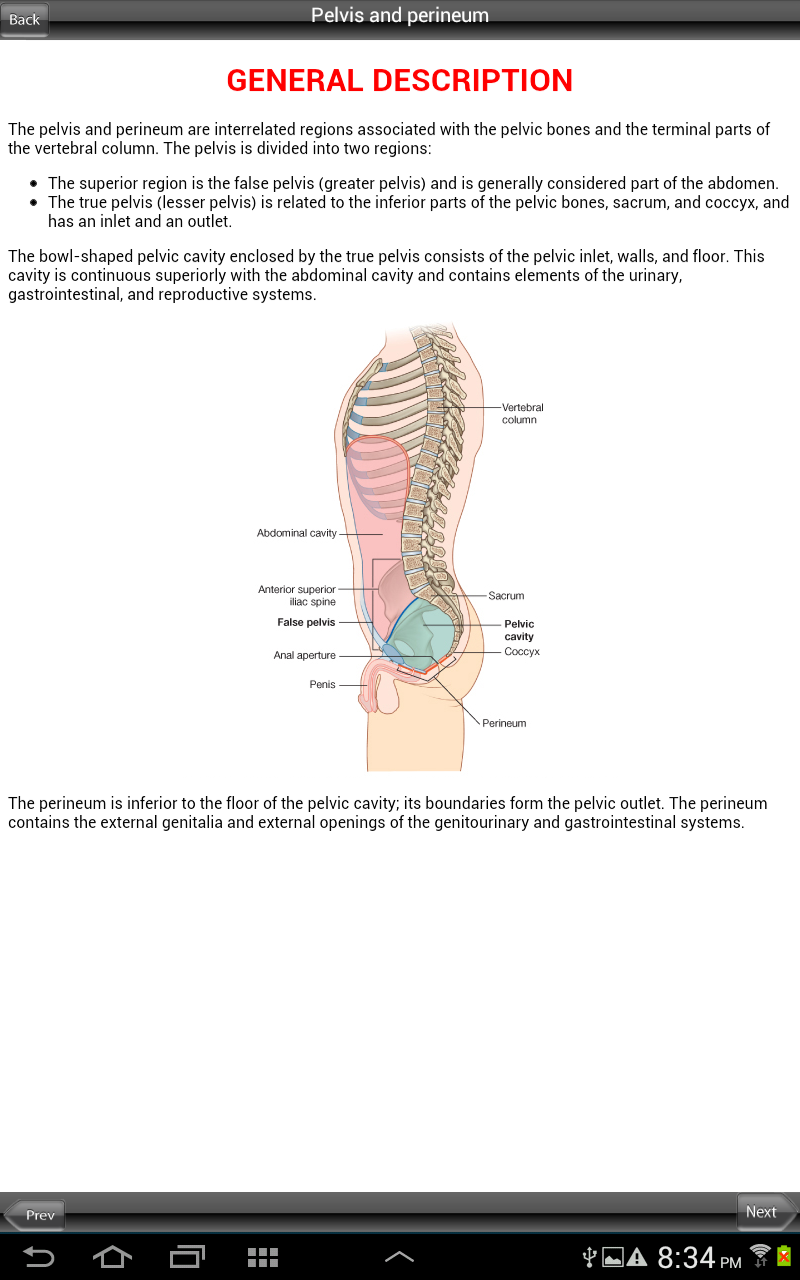 Grays Pelvis Perineum Abdomen Screen 1