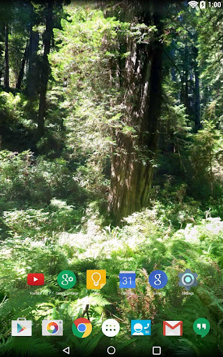 【免費個人化App】Panorama Wallpaper: Forest-APP點子