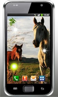 【免費個人化App】Horses Racing live wallpaper-APP點子