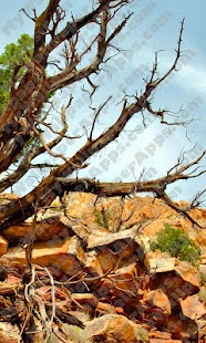 How to get Zion, UT Wallpaper in HD HD 1.0 apk for bluestacks