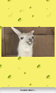 Free Download Funny Videos APK