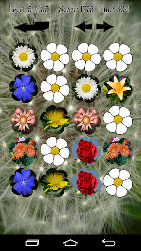 Flowers Memory Game 2015