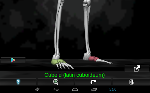 【免費醫療App】Bones Human 3D (anatomy)-APP點子