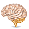 Brain Games, Juegos Mentales Apk