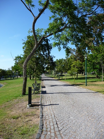 [P1000862[5].jpg]