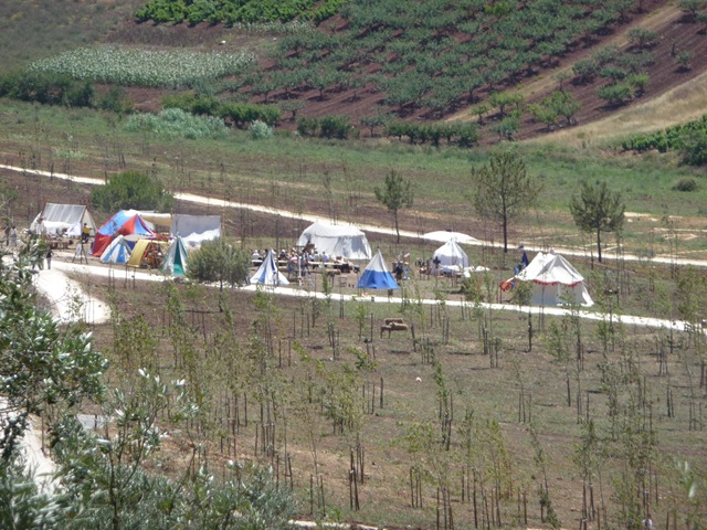 [P1000886[8].jpg]