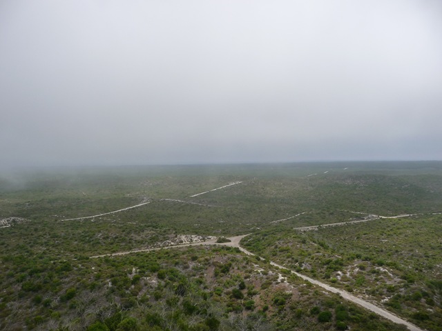 [P1000266[3].jpg]