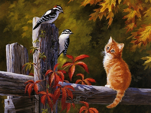Animais-1.jpg
