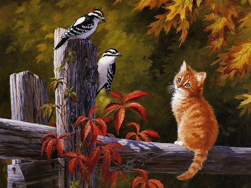 Animais-1.jpg